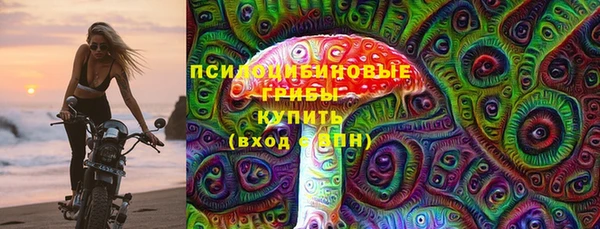 МДПВ Алексеевка